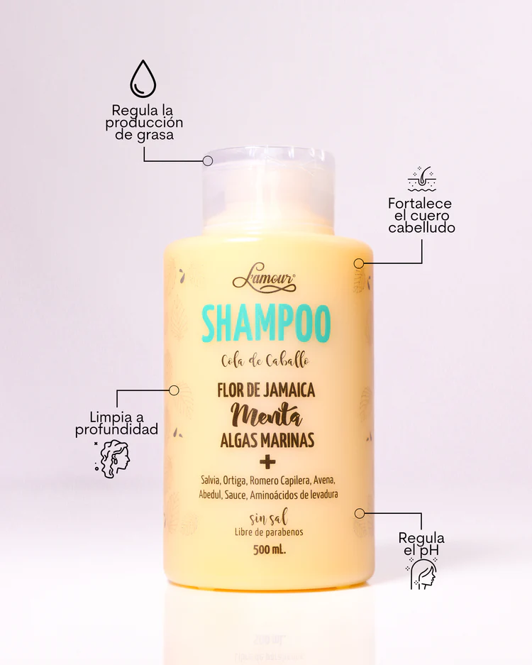 SHAMPOO COLA DE CABALLO - Imagen 2